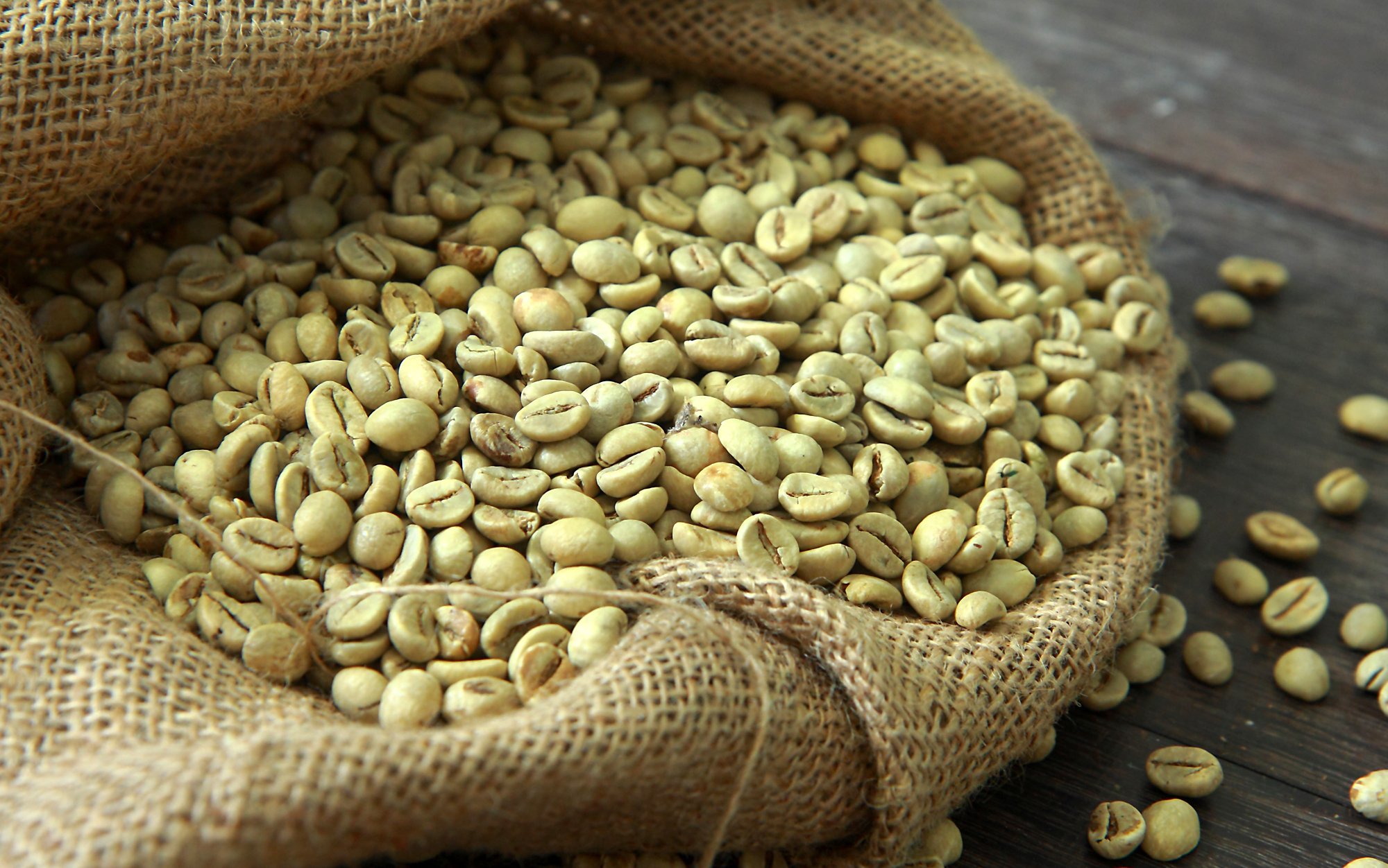 Organic Robusta Green Coffee (Unroasted) Wholesale Tanzania