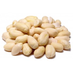 Raw Blanched Peanuts